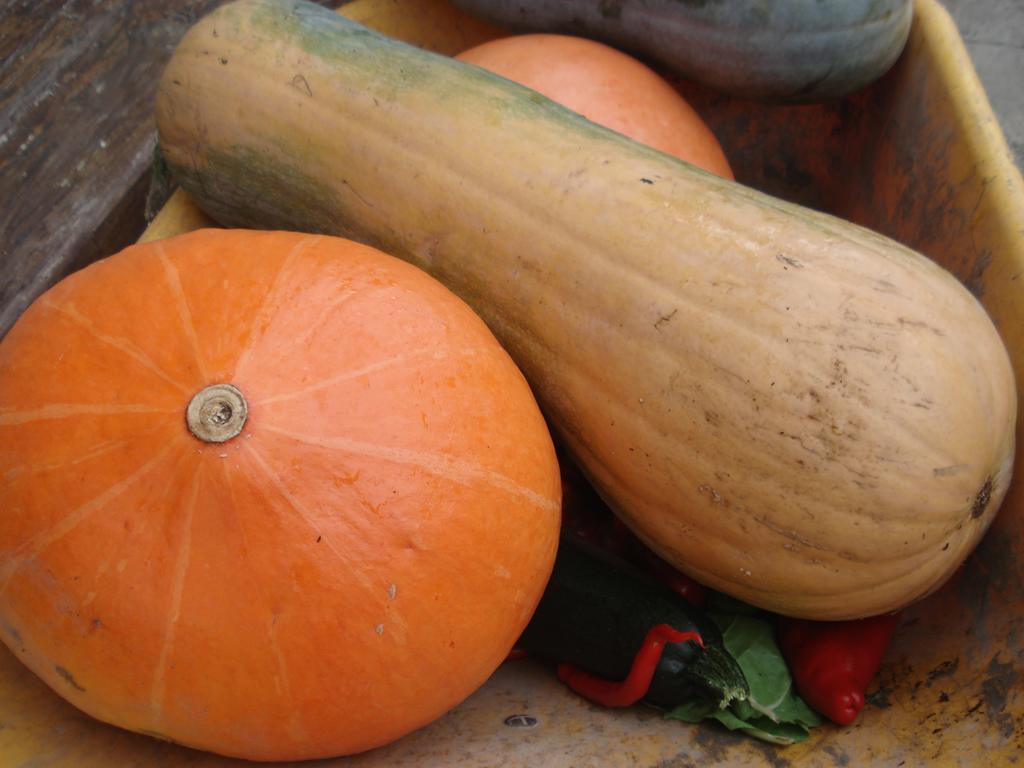 Apricano Caserio Maribel المظهر الخارجي الصورة
